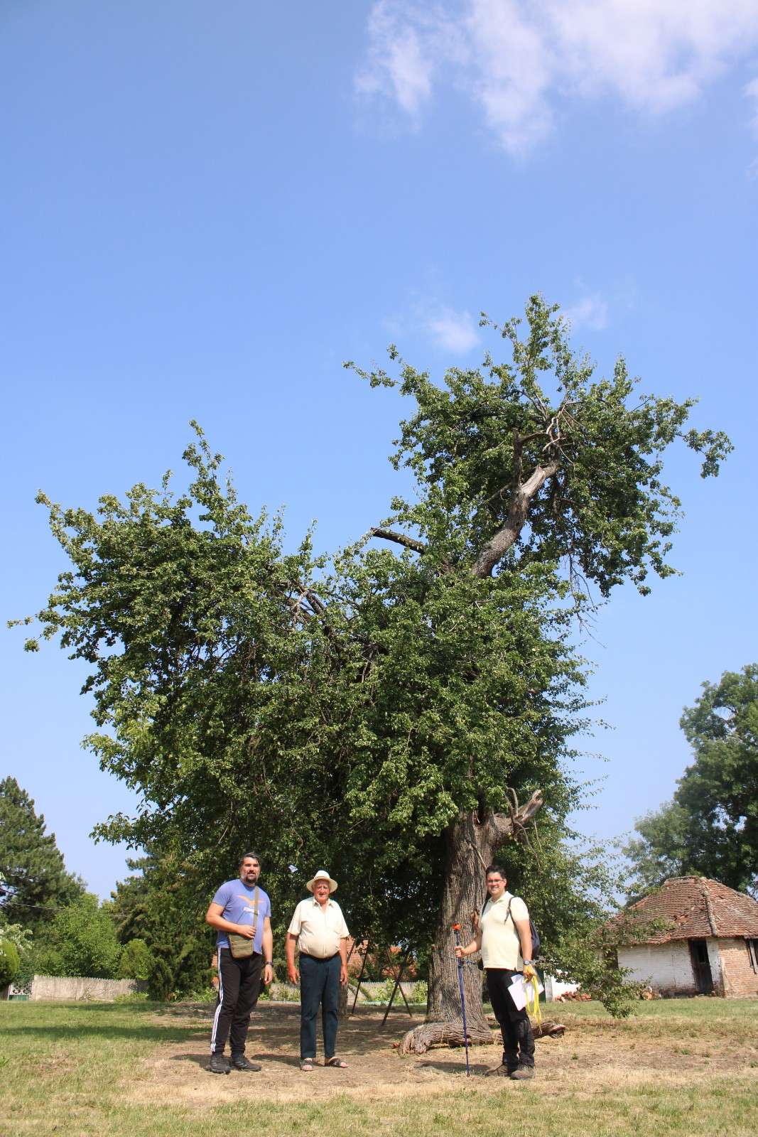 Букоровац